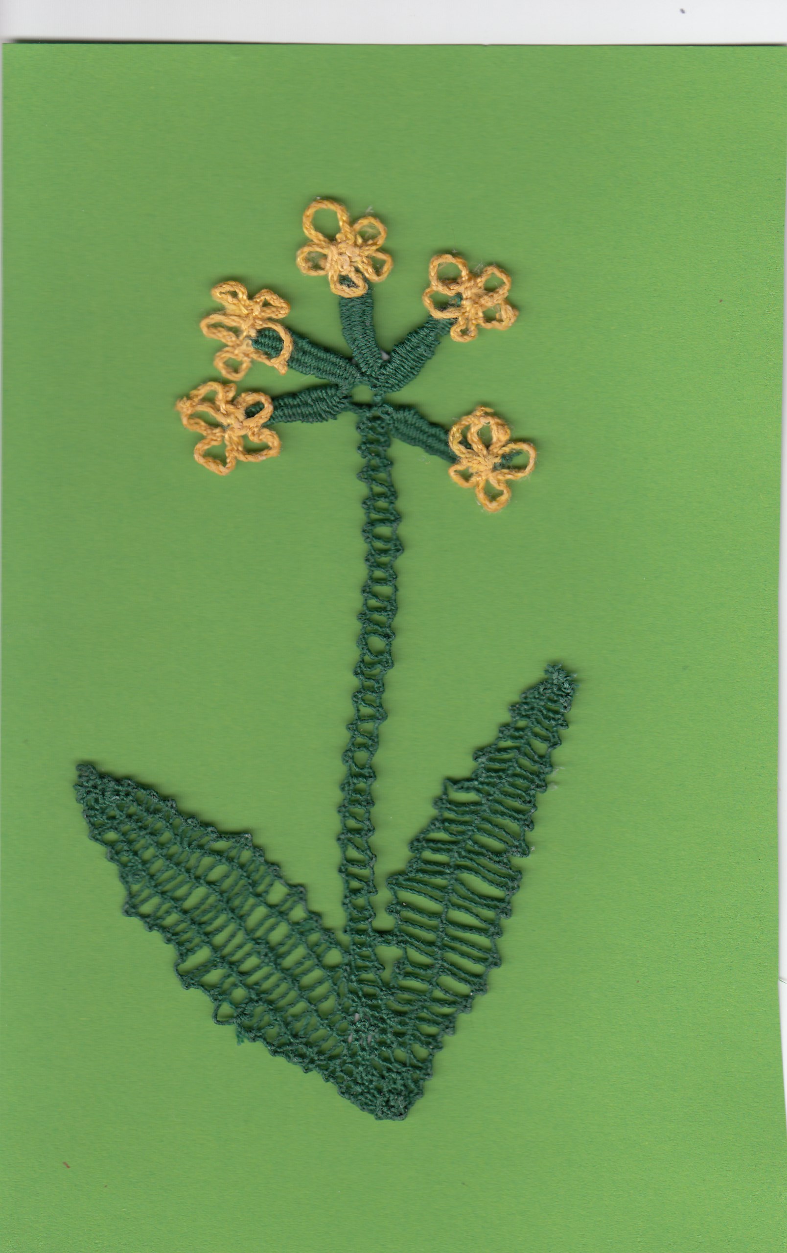 k Iva IMG_20160315_0001.jpg, 521kB